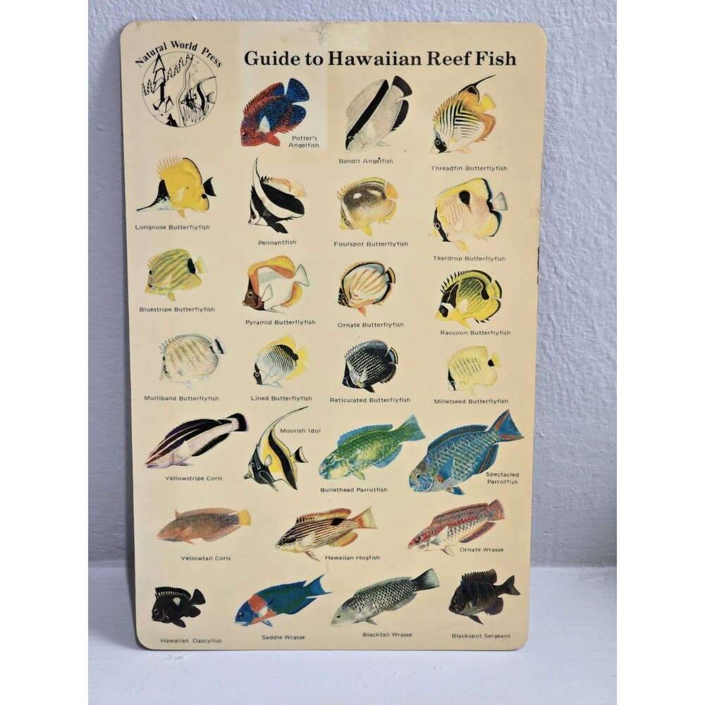Vtg 1983 Guide to Hawaiian Reef Fish Plastic Card Natural World Press Ephemera